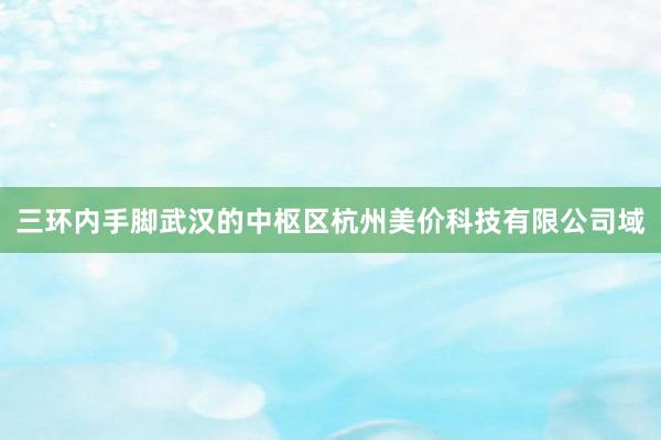 三环内手脚武汉的中枢区杭州美价科技有限公司域