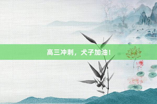 高三冲刺，犬子加油！